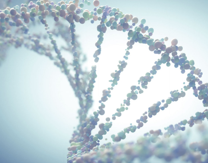 臻稀生物科技有限公司